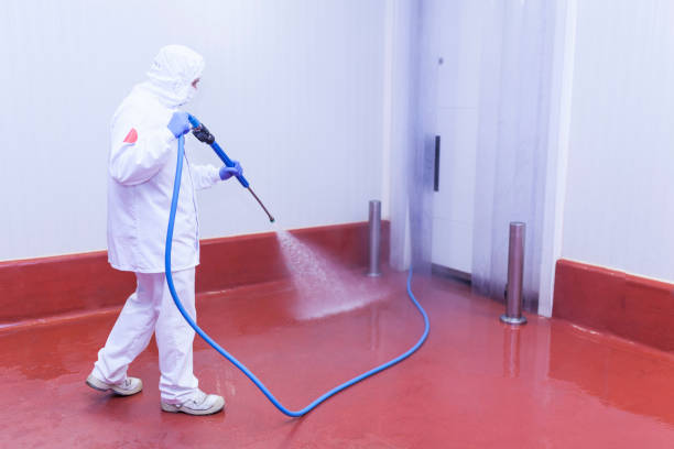 Best Residential House Exterior Washing  in Palm Bay, FL